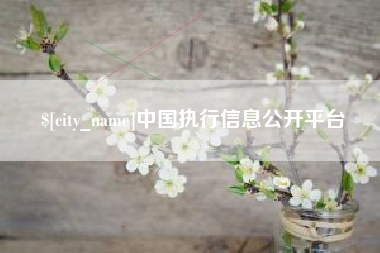 拉萨中国执行信息公开平台