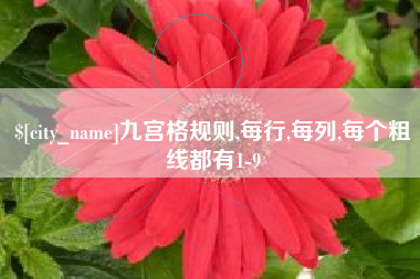 拉萨九宫格规则,每行,每列,每个粗线都有1-9