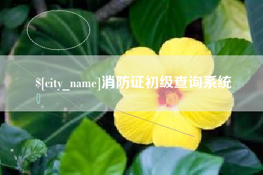 拉萨消防证初级查询系统