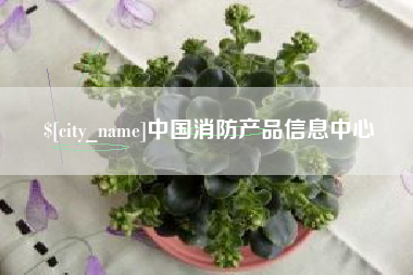 拉萨中国消防产品信息中心