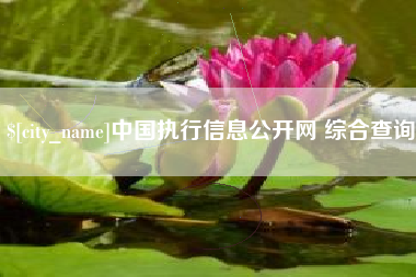 拉萨中国执行信息公开网 综合查询