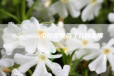 拉萨中国金牌得了几枚金牌