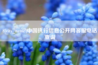 拉萨中国执行信息公开网客服电话查询
