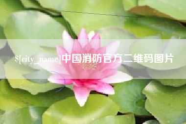 拉萨中国消防官方二维码图片