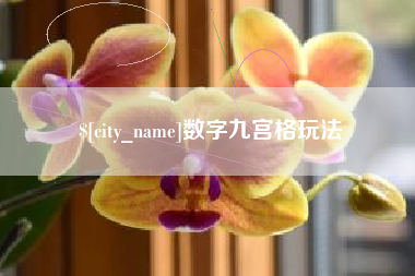 拉萨数字九宫格玩法
