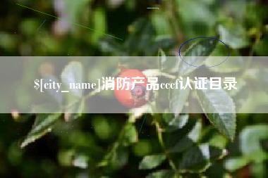 拉萨消防产品cccf认证目录