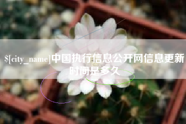 拉萨中国执行信息公开网信息更新时间是多久