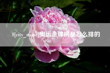 拉萨奥运金牌榜是怎么排的