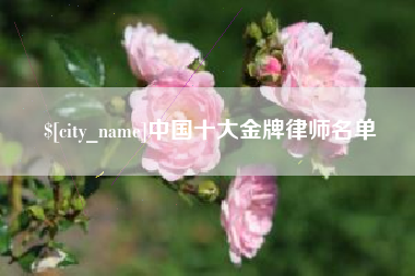 拉萨中国十大金牌律师名单