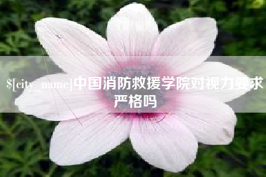拉萨中国消防救援学院对视力要求严格吗