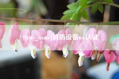拉萨消防设备ccc认证