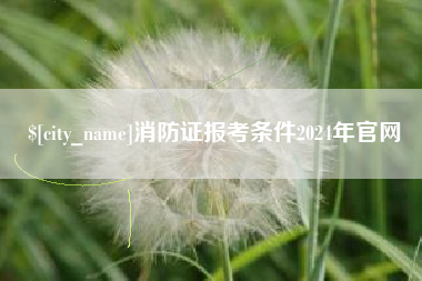 拉萨消防证报考条件2024年官网