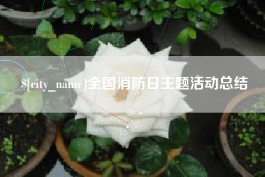 拉萨全国消防日主题活动总结