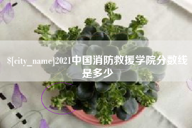 拉萨2021中国消防救援学院分数线是多少