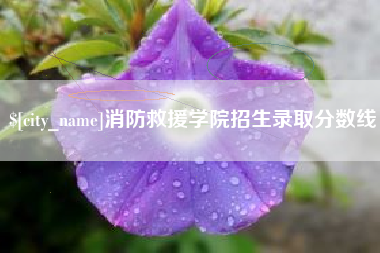 拉萨消防救援学院招生录取分数线
