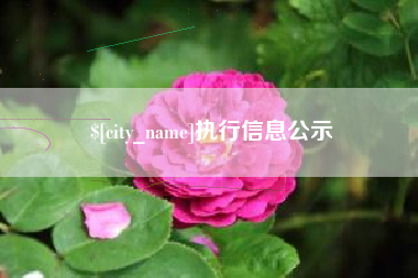 拉萨执行信息公示