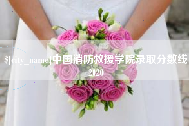 拉萨中国消防救援学院录取分数线2020