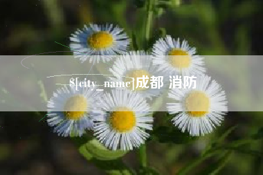 拉萨成都 消防