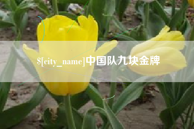 拉萨中国队九块金牌