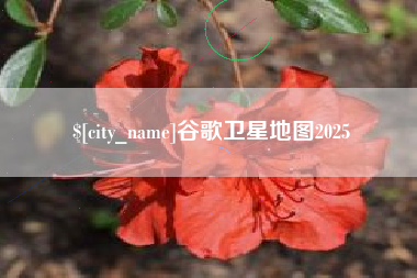 拉萨谷歌卫星地图2025