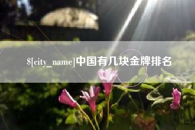 拉萨中国有几块金牌排名