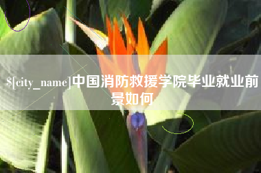 拉萨中国消防救援学院毕业就业前景如何