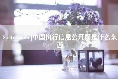 拉萨中国执行信息公开网是什么东西