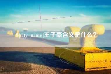 拉萨王子豪含义是什么？