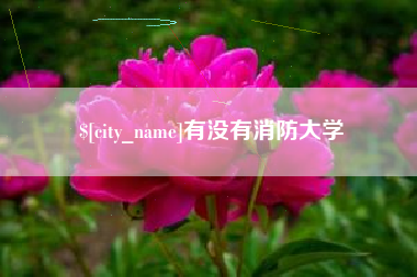 拉萨有没有消防大学