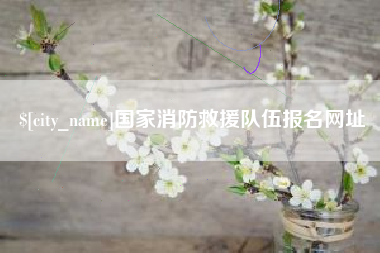 拉萨国家消防救援队伍报名网址