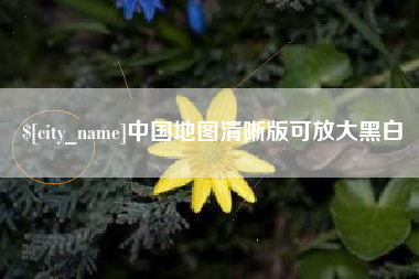 拉萨中国地图清晰版可放大黑白