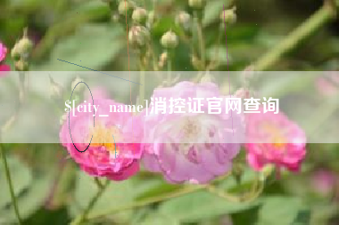 拉萨消控证官网查询