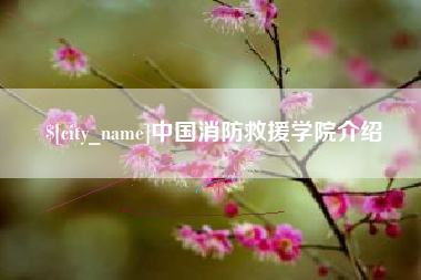 拉萨中国消防救援学院介绍