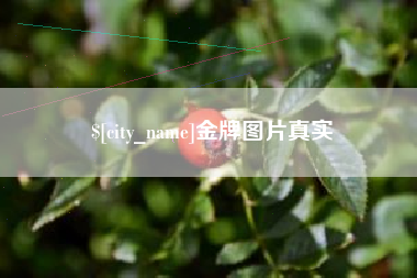 拉萨金牌图片真实