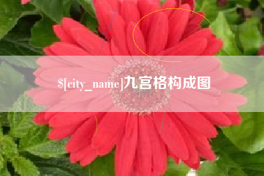 拉萨九宫格构成图