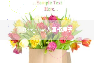 拉萨九宫格牌子