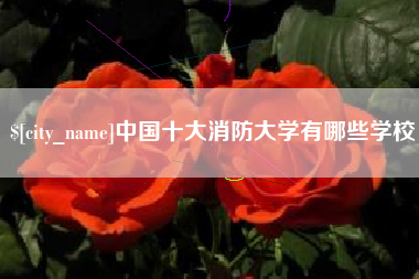 拉萨中国十大消防大学有哪些学校