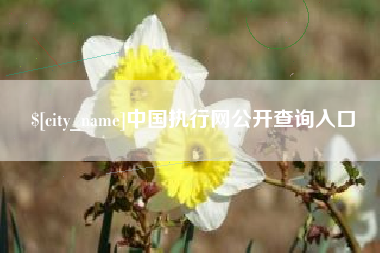 拉萨中国执行网公开查询入口