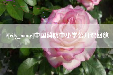 拉萨中国消防中小学公开课回放