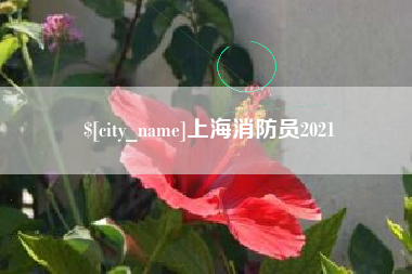 拉萨上海消防员2021