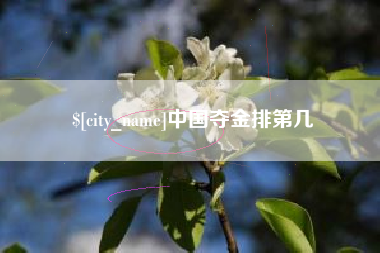 拉萨中国夺金排第几