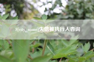 拉萨失信被执行人杳询