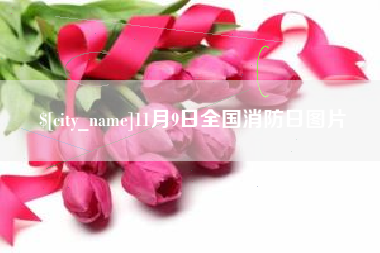 拉萨11月9日全国消防日图片