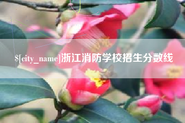 拉萨浙江消防学校招生分数线
