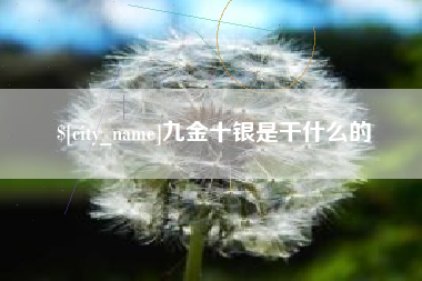 拉萨九金十银是干什么的