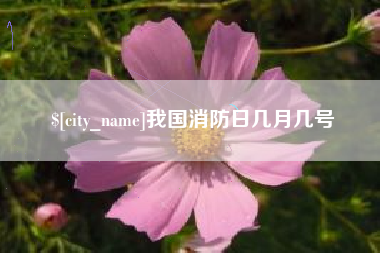 拉萨我国消防日几月几号