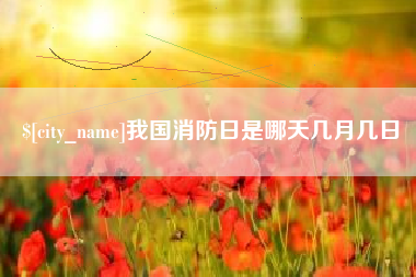 拉萨我国消防日是哪天几月几日