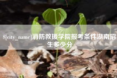 拉萨消防救援学院报考条件湖南招生多少分