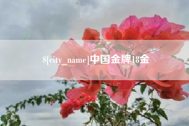 拉萨中国金牌18金