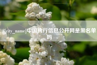 拉萨中国执行信息公开网是黑名单吗